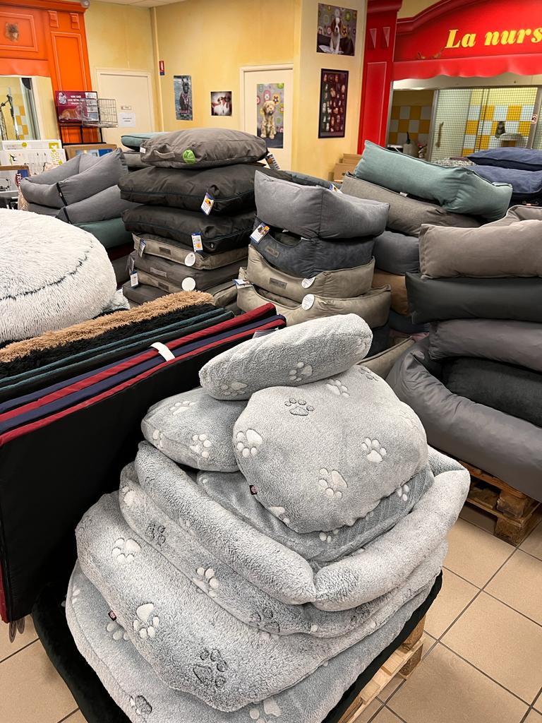 POINT DOG Animalerie Laval WhatsApp Image 2022 05 12 At 14.26.07 1