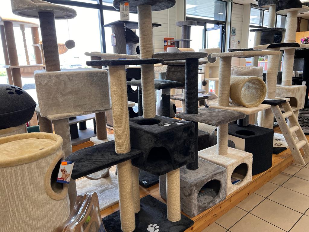 POINT DOG Animalerie Laval WhatsApp Image 2022 05 12 At 14.26.24 2