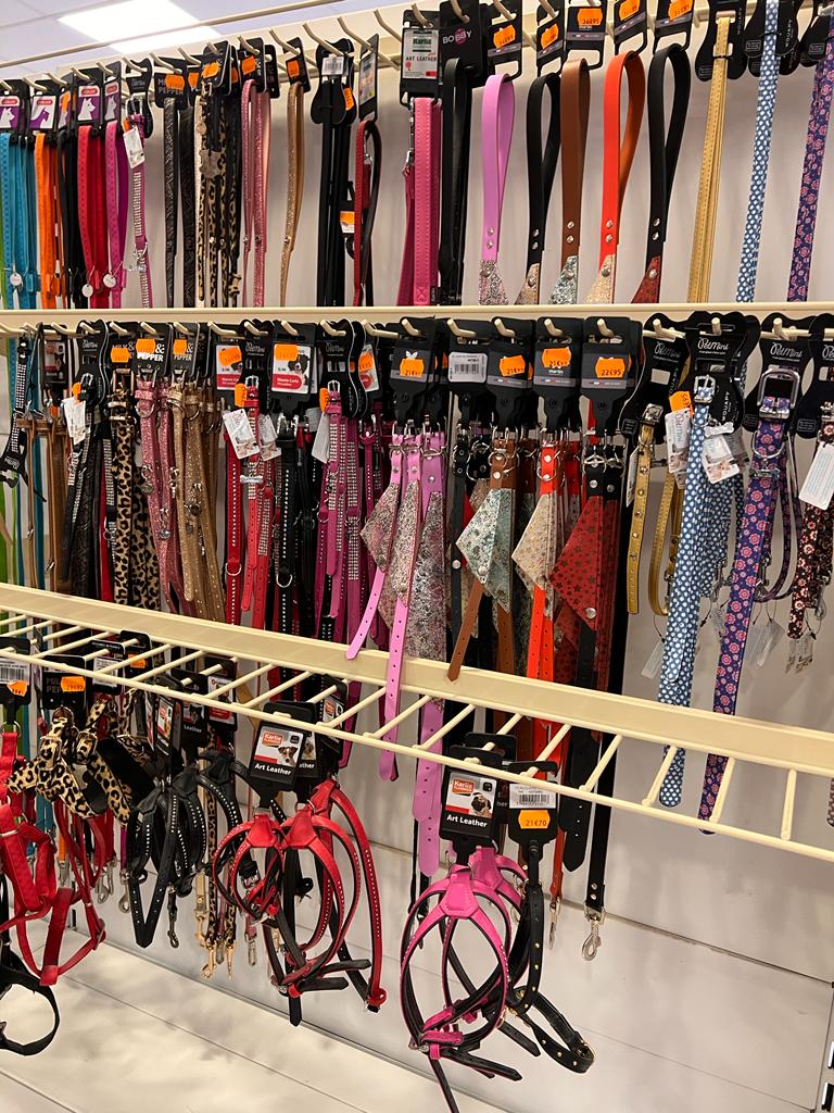 POINT DOG Animalerie Laval WhatsApp Image 2022 05 12 At 14.26.24